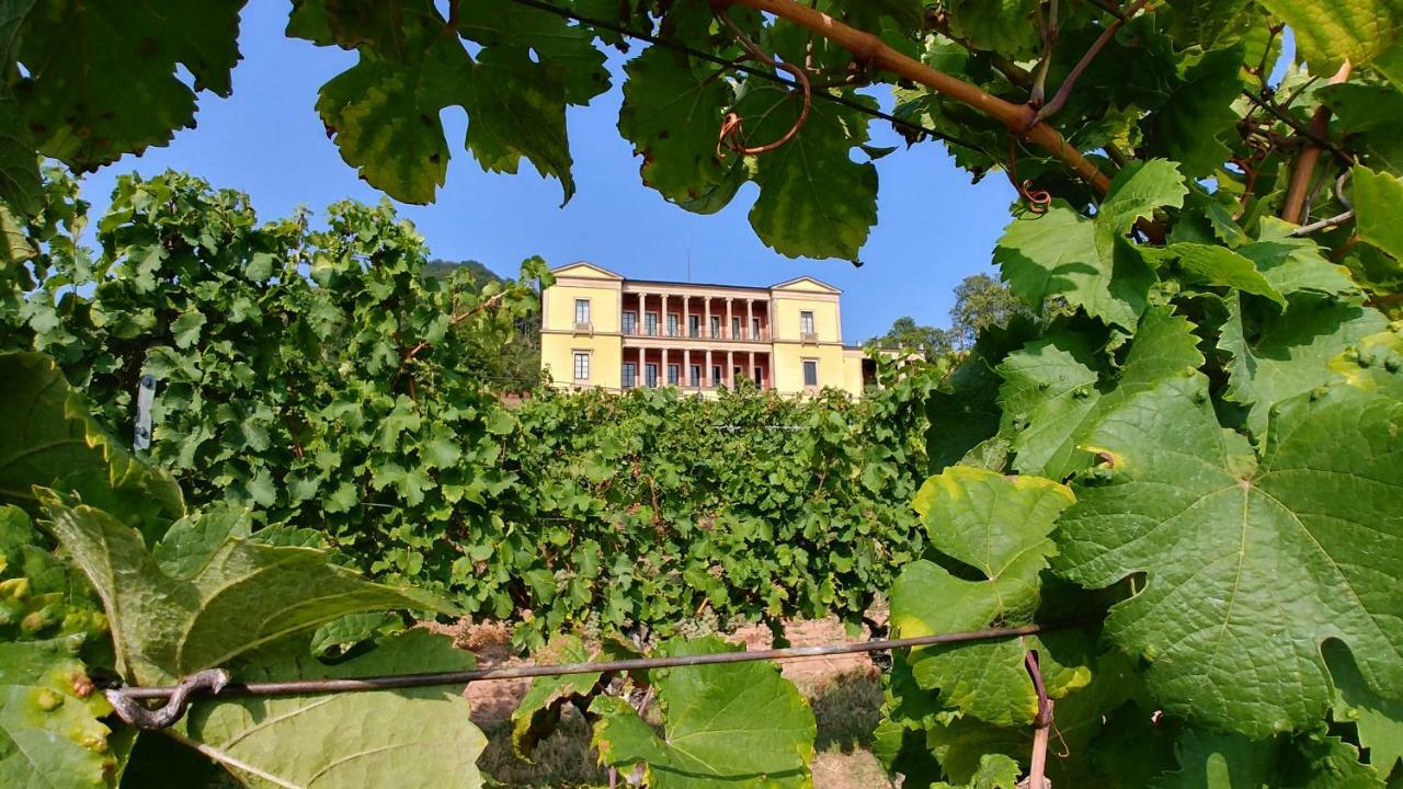 Ferienhaus Rauwolf Mit 2 Ferienwohnungen Roschbach Exterior photo